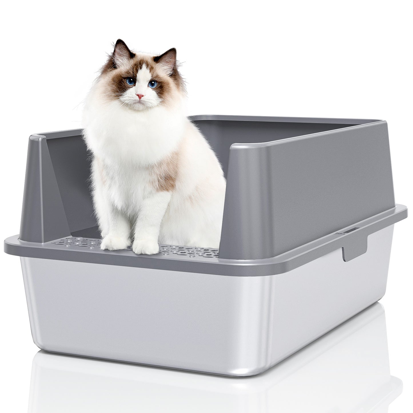 Extra Large Litter Box for Big Cats